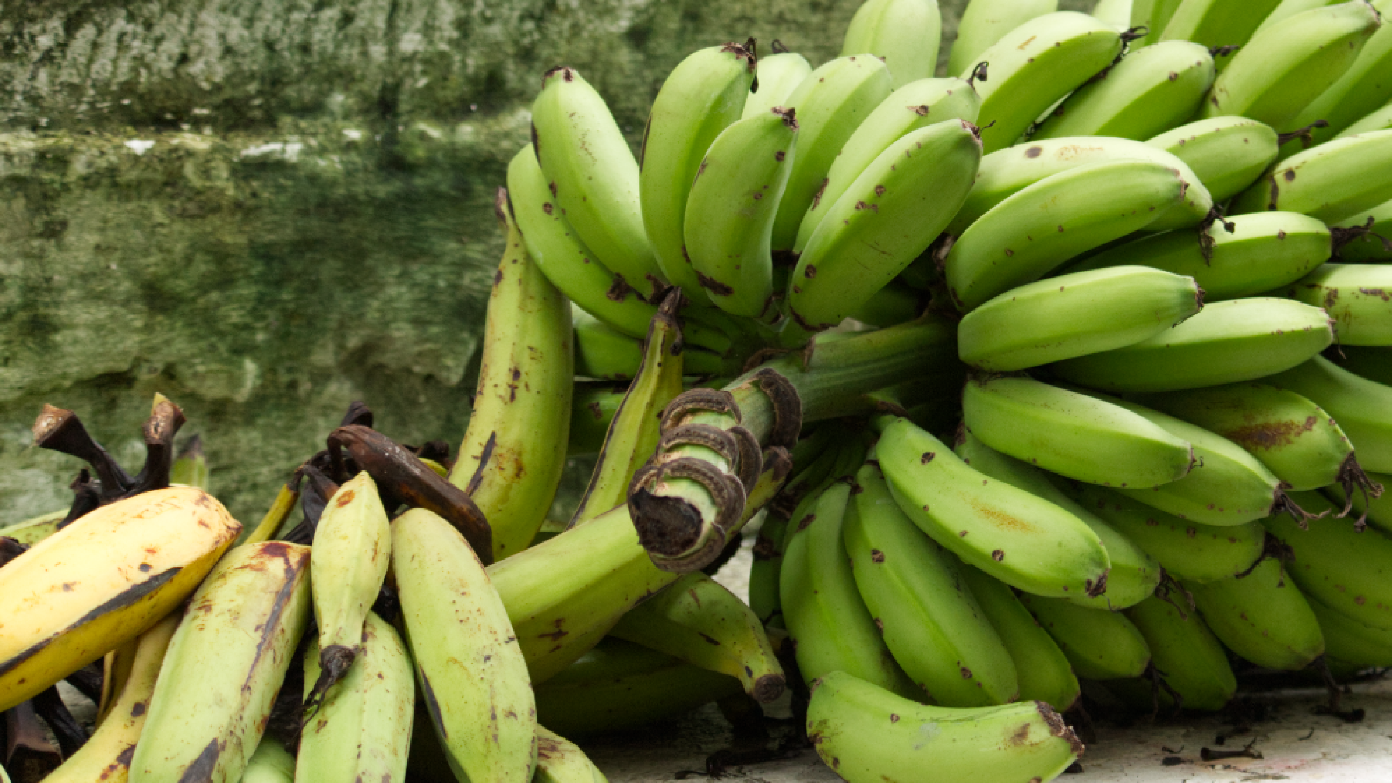 Ecuadorianische Zutaten in Deutschland finden: Dein Einkaufsguide