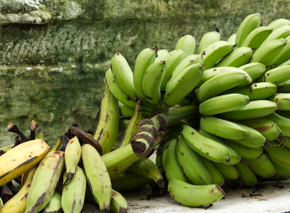 Ecuadorianische Zutaten in Deutschland finden: Dein Einkaufsguide